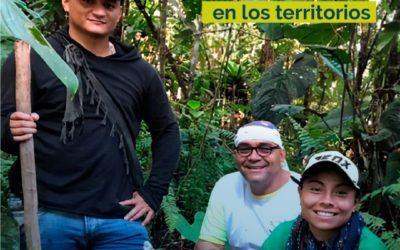 paz-dabeiba-fundacion-kreanta