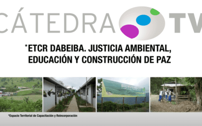 sensibilizacion-taparales-fundacion-kreanta