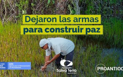 taparales-1-fundacion-kreanta