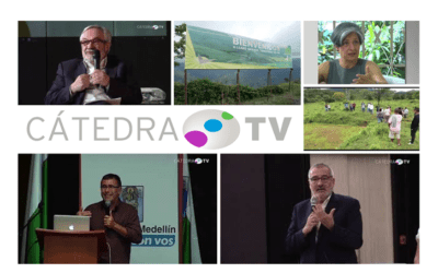 catedra-tv-kreanta